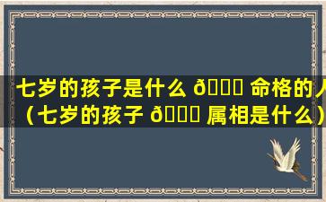 七岁的孩子是什么 🐒 命格的人（七岁的孩子 🐅 属相是什么）